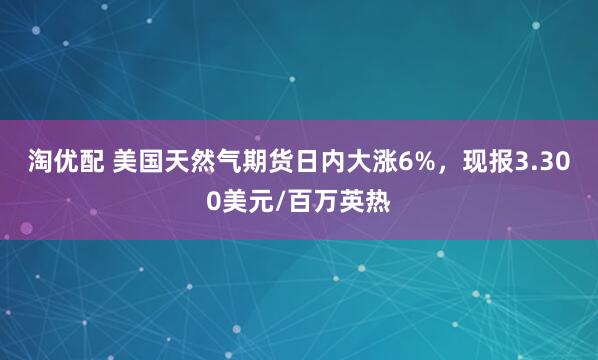 淘优配 美国天然气期货日内大涨6%，现报3.300美元/百万英热