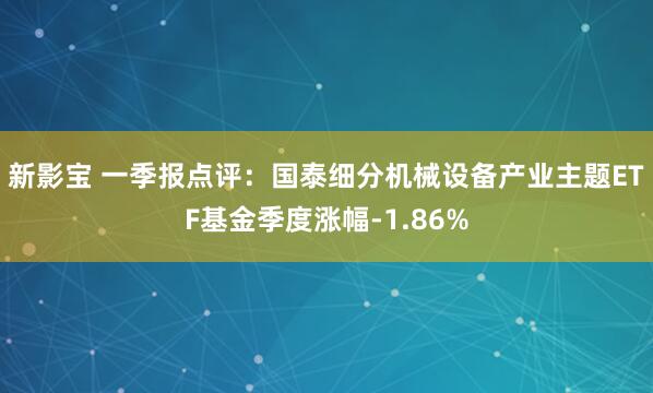 新影宝 一季报点评：国泰细分机械设备产业主题ETF基金季度涨幅-1.86%