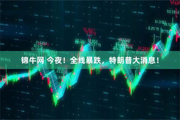 锦牛网 今夜！全线暴跌，特朗普大消息！
