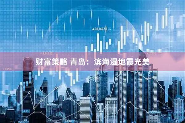 财富策略 青岛：滨海湿地霞光美
