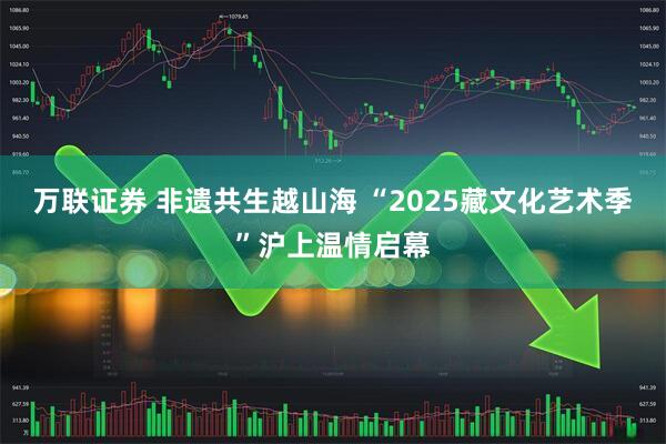 万联证券 非遗共生越山海 “2025藏文化艺术季”沪上温情启幕