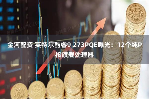 金河配资 英特尔酷睿9 273PQE曝光：12个纯P核旗舰处理器